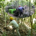 1月13日 例会１(土)竹林整備作業