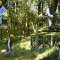 9月24日 例会2(日) 植樹地区の森林環境整備作業